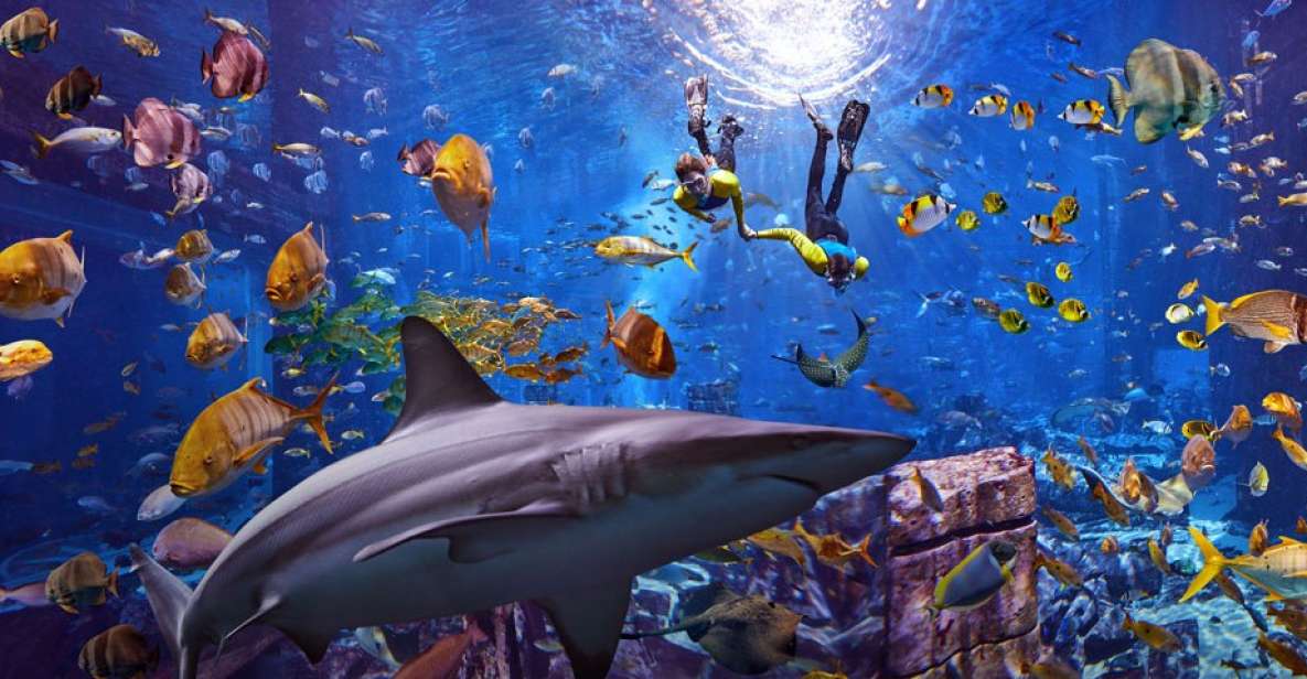 Atlantis Aquarium